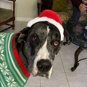 Meet your Posher, Mary charlotte